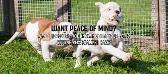 Pet services pet specialty services. Jen S Happy Pets Dog Walking Pet Sitting Dog Doody Cleanup Hunderton County Nj Warren County Nj Clinton Nj