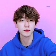 Exo Baekhyun Superpoderosas Nilo