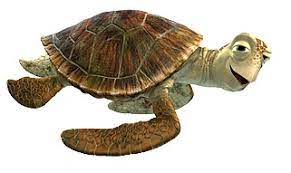 At the start of the movie, we see nemo's parents. Crush Pixar Wiki Fandom