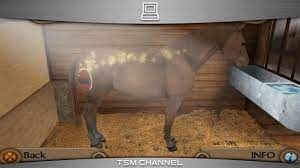 Realistic horse breeding simulation with competitions, stable building and much more. My Riding Stables Life With Horses Part 1 Horse Game Youtube