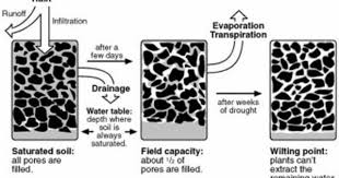 Soil Water Holding Capacity Soil Plant Tissue Illinois