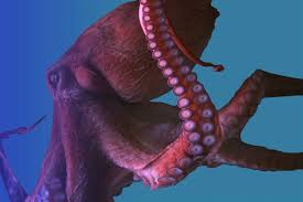 The Giant Pacific Octopus • Scuba Diver ...
