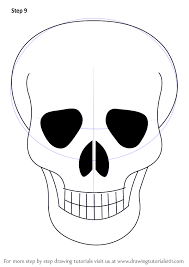 Learn How To Draw Skull Easy Skulls Step By Step Drawing Tutorials There are 17 species of penguins. learn how to draw skull easy skulls