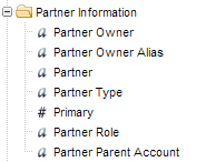 Reporting Can I Use Partner Account Fields In A Report Salesforce Stack Exchange