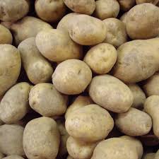 La récolte des pommes de terre se fera entre mai et octobre selon les variétés et le type d'utilisation souhaité: Pomme De Terre Bintje Sac 25 Kg Votre Rendez Vous Fermier