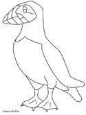 1) if you have javascript enabled you can click the print link in the top half of the page and it will automatically print the coloring page only and ignore the advertising and navigation at the top of the page. Puffins Coloring Pages