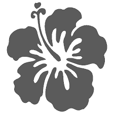 Black And White Hawaiian Shirt Clipart Next Step Decoration Surfboard With Tropical Flowers And Stripes Flower Clipart Hawaiian Flowers Hawaiian Art