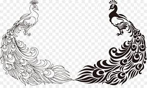 الطاووس ريشة الطيور الرسم قصاصة فنية ناقلات رسمت باليد الطاووس Feather Bird Drawing Bird Drawings Drawings
