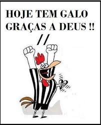 Vídeo de julio matins ®️ 🏴🏳️🏁🏴🏳️🏁 Galo Doido A Twitter Hoje Tem Galo Doido Http T Co Kzbz4dhqhk