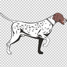The german shorthaired dog is one of three varieties of german pointers. German Shorthaired Pointer German Longhaired Pointer Vizsla German Wirehaired Pointer Png Clipart Carnivoran Coloring Pages Dalmatian