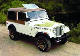 Image result for cj7