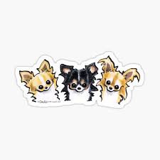 The cost of long haired chihuahua puppies can vary quite a lot! Long Haired Chihuahua Stickers Redbubble