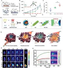Pret incepand de la 10,00 ron. Gut Microbiota Influence On Carcinogenesis And Modulation Strategies By Drug Delivery Systems To Improve Cancer Therapy Zhu Advanced Science Wiley Online Library
