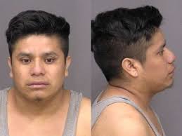 Saline County Jail Bookings, July 20