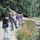 Lodi Lake Bird Walk event in Lodi, CA