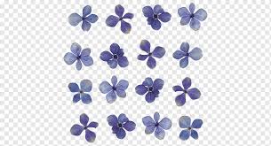 They come in a great variety of shapes and sizes and can be just the thing. Pressed Flower Craft Light Floral Design Blue Flowers Purple Blue Violet Png Pngwing