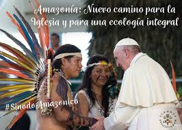 Resultado de imagen de sinodo Amazonia