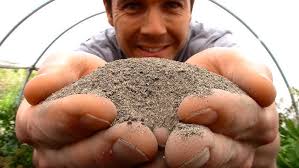 Comparing different composts for propagation