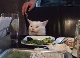 Confused Cat At Dinner Woman Yelling At A Cat Cat Memes White Cat Meme Cats