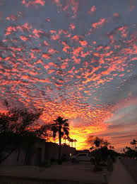 If you're a photographer (and even if you're not), this is a great place to get a photo of the phoenix skyline. Tonight S Sunset Phoenix Az Pics