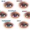 Check spelling or type a new query. 1
