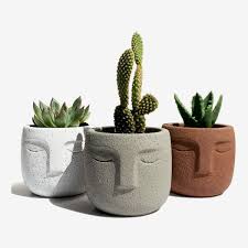 When looking for pots for indoor these ceramic pots are in reality entirely great quality. The Best Pots And Planters On Amazon 2021 The Strategist New York Magazine
