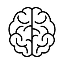 We have collect images about brain cartoon drawing png including images, pictures, photos, wallpapers, and more. Brain Free Clip Art Images Illustoon
