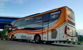 An infection of the lungs, those with chronic lung disease and other related conditions can become very ill if they get pneumonia. Suka Bis Info Bus Indonesia