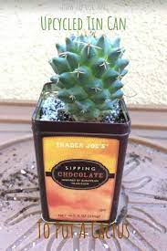 I also share my top tips for growing cacti. How To Use An Upcycled Tin Can To Pot A Cactus Succulent Plant Care