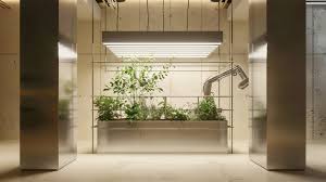 Image result for Phragmanthera edouardii