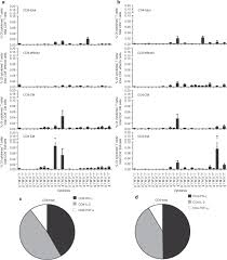 Плюсы и минусы софта 888 покер. Capsid Specific T Cell Responses To Natural Infections With Adeno Associated Viruses In Humans Differ From Those Of Nonhuman Primates Molecular Therapy