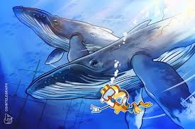 Bitcoin has a limited supply as a proportion of actual capacity to buy it, so it will fluctuate depending upon any demand. Bitcoin Whale Explains To Bloomberg Why Crypto Volatility Will Decline