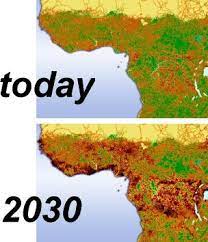 In ecology, the term habitat summarises the array of resources, physical and biotic factors that are present in an area, such as to support the survival and reproduction of a particular species. Habitat Fragmentation Wikipedia