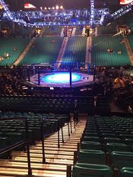 Mgm Grand Garden Arena Section 11