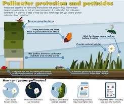Precor plus flea bomb is one of the best flea foggers for home. What Is The Best Flea Fogger For A Home Where Do Fleas Hide