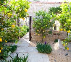 Mollywoodgarden Instagram Photos And Videos Garden In The Woods Mediterranean Garden Design Garden Design