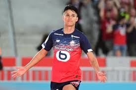 We did not find results for: Luiz Araujo