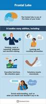 Image result for Frontal Lobe