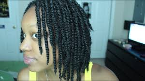 Holding the hair at the root and at the tip of the. Twists With Braiding Hair Novocom Top