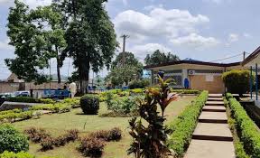 Institut des Relations Internationales du Cameroun