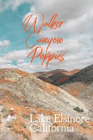 Maybe you would like to learn more about one of these? Spring Poppy Fields Lake Elsinore California Lake Elsinore California Hikes