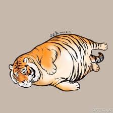 Bộ sưu tập của kiet ma. 250 Há»• Beo Y TÆ°á»Ÿng Ä'á»™ng Váº­t Meo Dá»… ThÆ°Æ¡ng