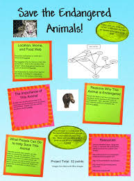 Pin On How To Help Endangered Species