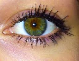 Der herbsttyp verfügt über einen beigefarbenen teint dunkle bis rote haare und grüne braune oder blaue augen. Grun Braune Augen Welcher Lidschatten Grune Augen