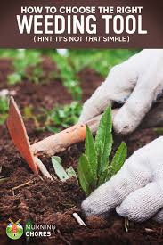 Shop with afterpay on eligible items. 7 Best Weeding Tools To Free Your Garden From Annoying Weeds Easily