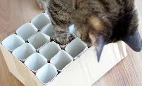 Katzenspielzeug Selber Machen Tipps Bei Fressnapf Fressnapf Katzenspielzeug Selber Machen Katzen Spielzeug Katzenspielzeug