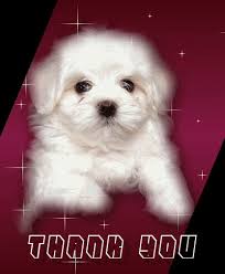 Thank You Animation You can choose the most popular free dogs gifs to your phone or computer. thank you animation