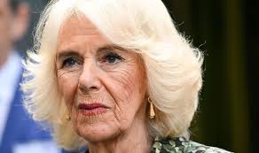 Queen Camilla got through a life-threatening illness by escaping into a  very raunchy TV show during the time she was ordered to rest.