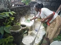 Taruh kapur sirih di dalam mangkuk lalu tuangkan air bersih sebanyak dua kali lipat banyaknya dari jumlah kapur sirih. Jumlah Perajin Kapur Sirih Di Bangli Terus Menyusut Bali Tribune
