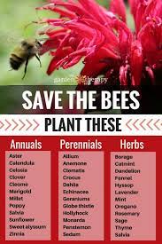 Maybe you would like to learn more about one of these? Plants And Tips To Create A Bee Friendly Garden Garden Therapy